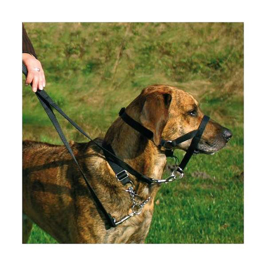 Trixie Top Trainer Ausbildungsgeschirr - Trixie