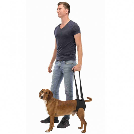 Trixie Gehhilfe - Trixie