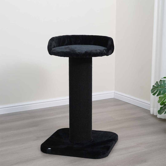 EBI Kratzbaum Sydney - EBI Bild 2