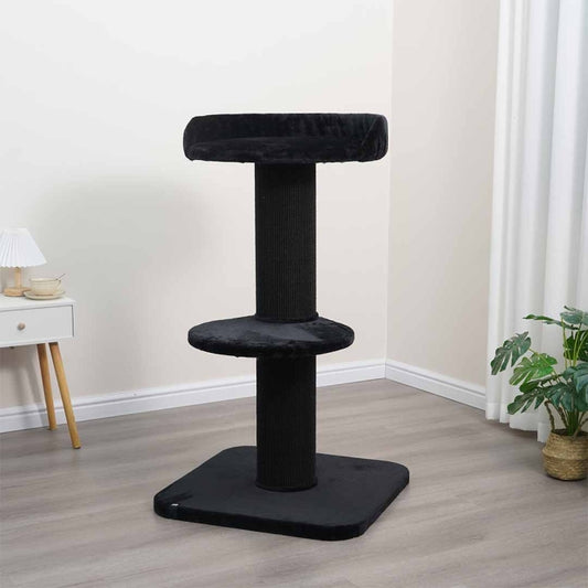 EBI Kratzbaum Mumbai - EBI Bild 2