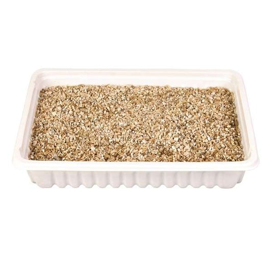 Trixie Katzengras-Schale, ca. 100 g - Trixie Bild 2