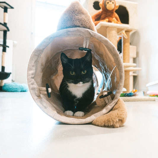 Duvoplus Spieltunnel Cozette 90 x 25cm - DUVO Bild 2