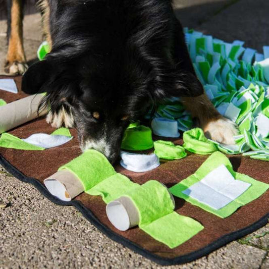 PROCYON Intelligenzschnüffelmatte - PROCYON Bild 2