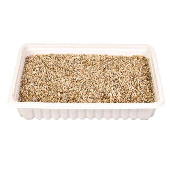 Trixie Katzengras-Schale, ca. 100 g - Trixie Bild 2