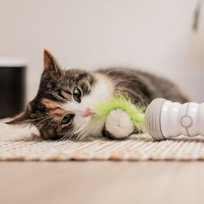 EBI Cat Toy Double Spinner - EBI Bild 4