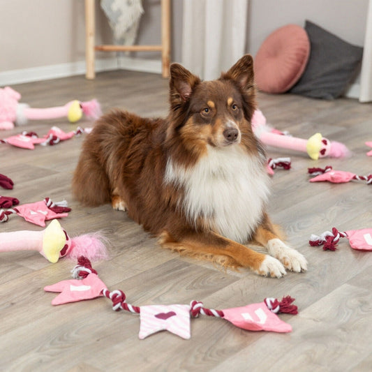 Trixie Hundespielzeug Valentines Tau - Trixie Bild 2