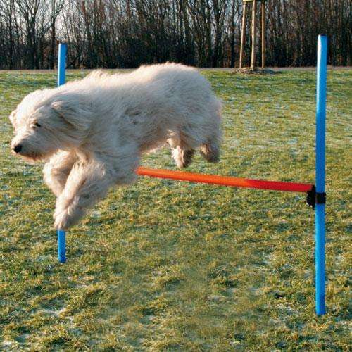 Trixie Agility Hürde - Trixie