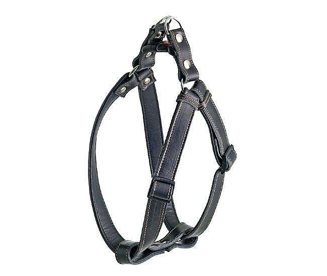 Karlie RONDO Geschirr 1 2 3 Step & Go - 25 mm, 40-70 cm - Karlie