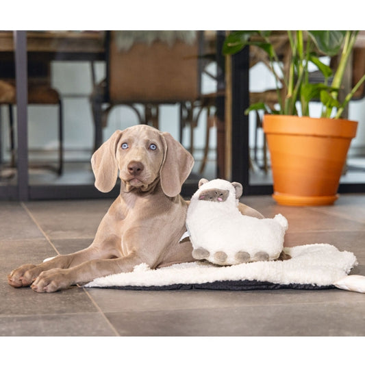 Beeztees Puppy Lama - Beeztees Bild 2