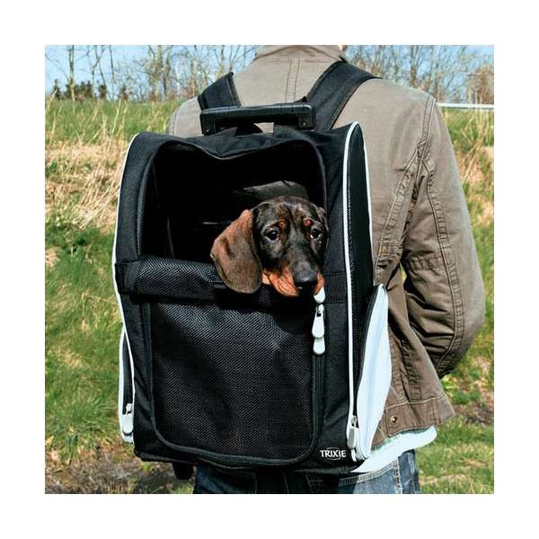 Trixie Trolley für Hunde und Katzen - Trixie Bild 3