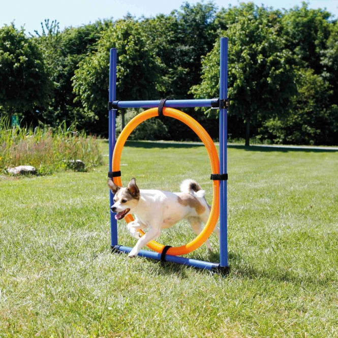 Trixie Agility Ring - Trixie Bild 2