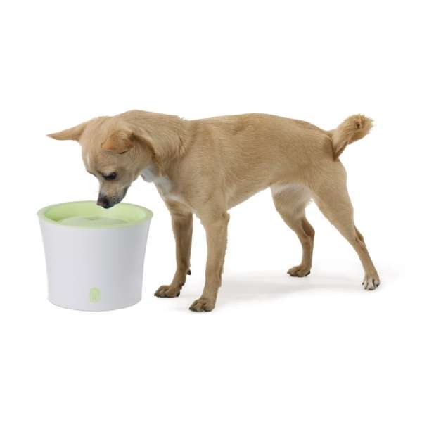CATIT Fresh+Clear Trinkbrunnen 3L - CATIT Bild 3
