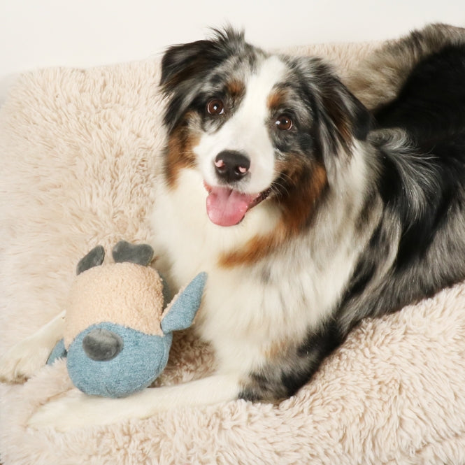 D&D Hundespielzeug Isla Chenille - D&D Home Bild 5