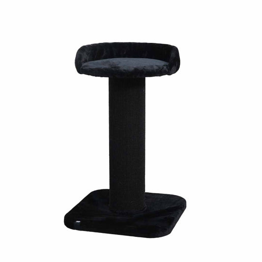 EBI Kratzbaum Sydney - EBI