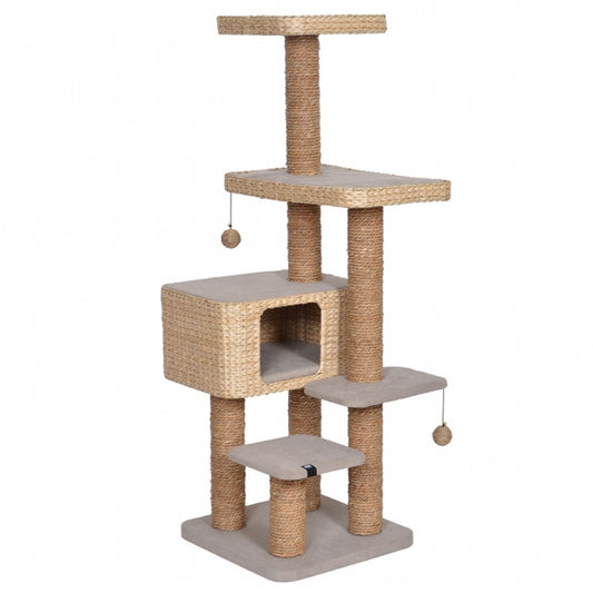 EBI Kratzbaum Palawan - EBI