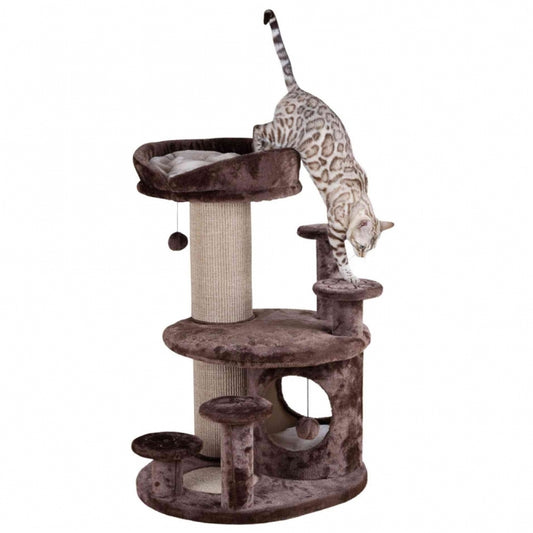 Trixie Senioren-Kratzbaum Emil - braun - Trixie