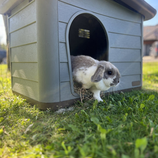 Duvoplus Tierhaus Pepita Eco - DUVO Bild 2