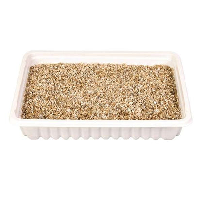 Trixie Katzengras-Schale, ca. 100 g - Trixie Bild 2