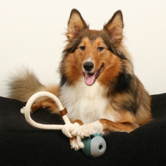 D&D Hundespielzeug Nora - D&D Home Bild 3