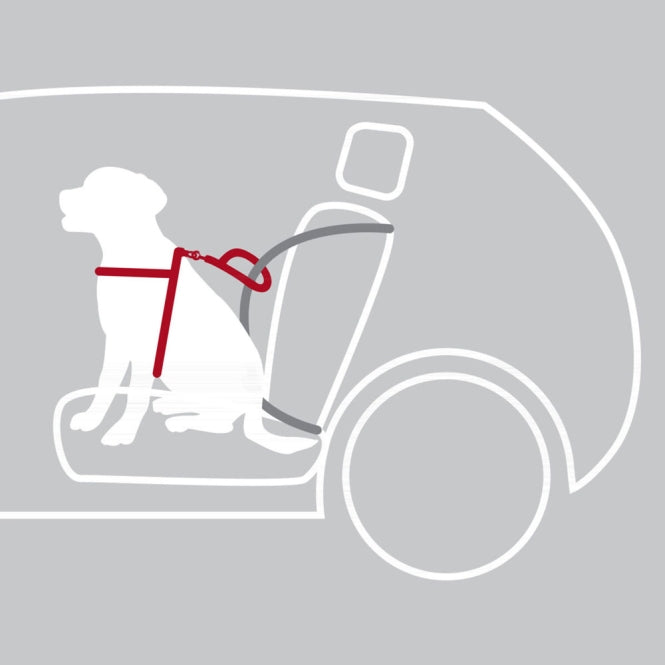 Trixie Auto-Sicherheitsgeschirr Dog Protect - Trixie