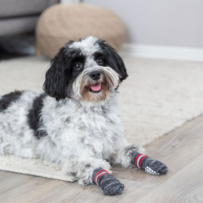 Trixie Hundesocken - Trixie