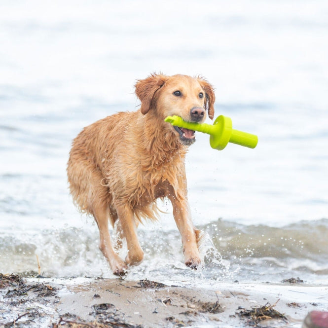 Trixie Aqua Toy MOT®-Aqua - Trixie Bild 6