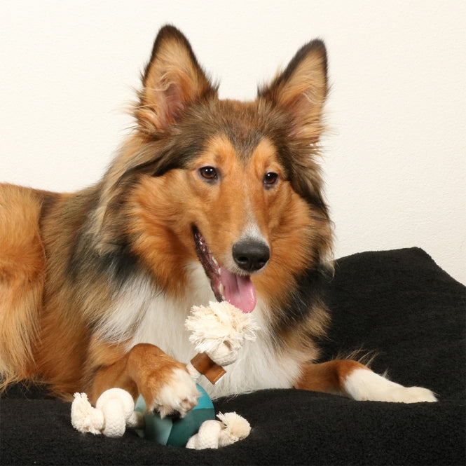 D&D Hundespielzeug Levi - D&D Home Bild 3