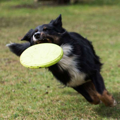PROCYON TPR Frisbee - PROCYON Bild 3