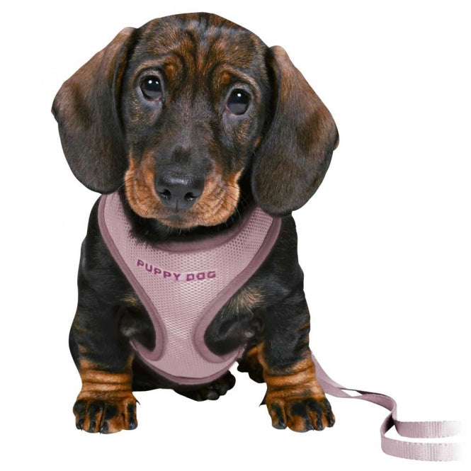 Trixie Junior Welpen-Softgeschirr mit Leine - Trixie
