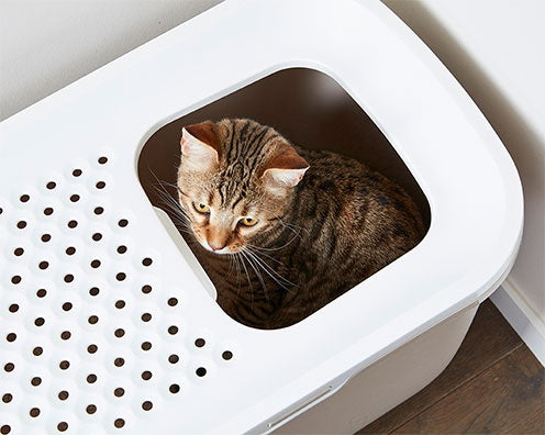 Savic Katzentoilette Hop In - Savic