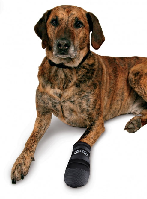 Trixie Walker Care Pfotenschutz-Stiefel - Trixie