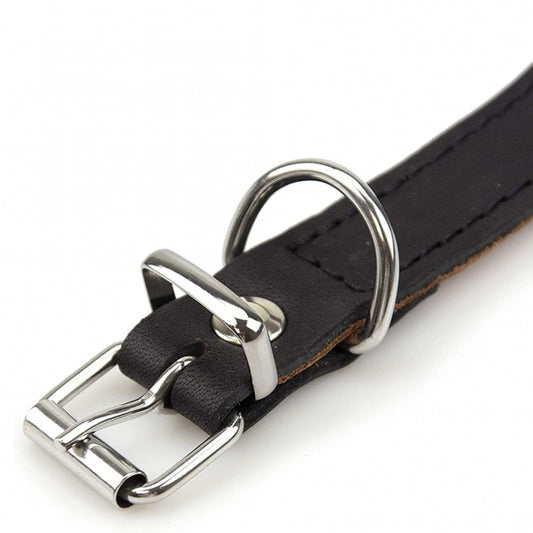 Karlie Rondo Windhund-Halsband - Karlie