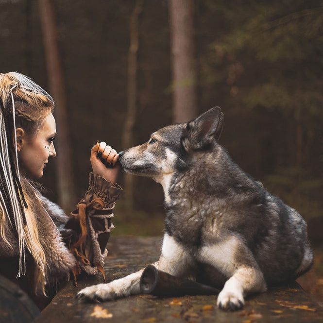 Viking Whole Horn -  Bild 5