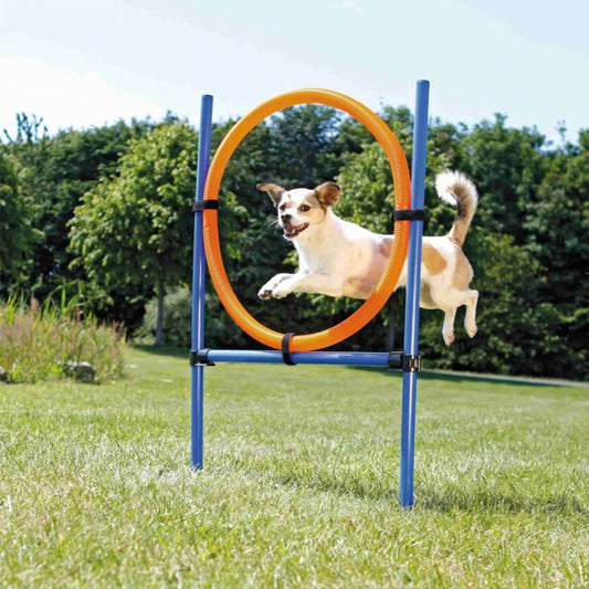 Trixie Agility Ring - Trixie
