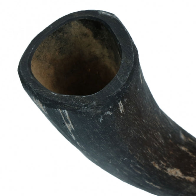 Viking Whole Horn -  Bild 3