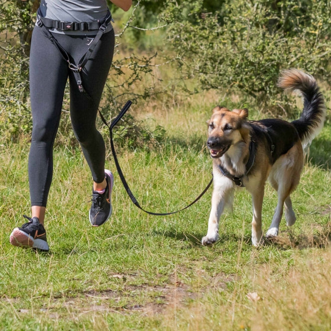 Trixie Bauchgurt mit Leine für mittelgroße und große Hunde - Standard - Trixie