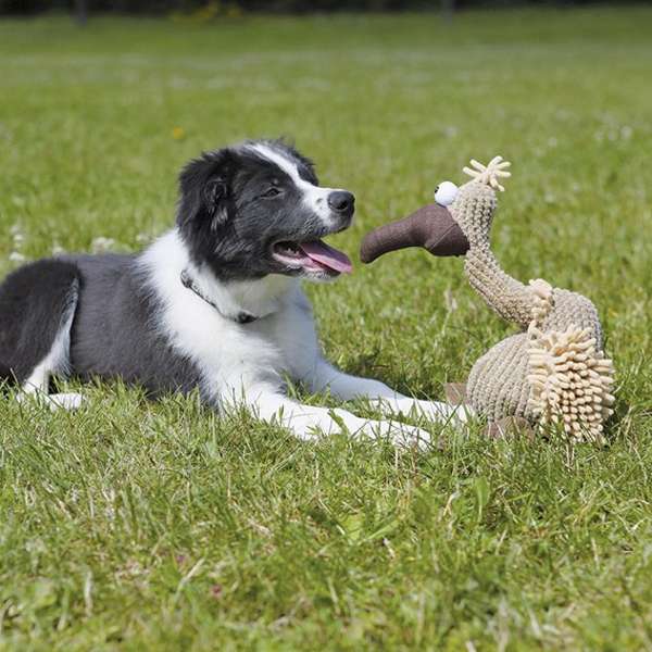 Trixie Kult-Geier Gustav - Trixie Bild 2