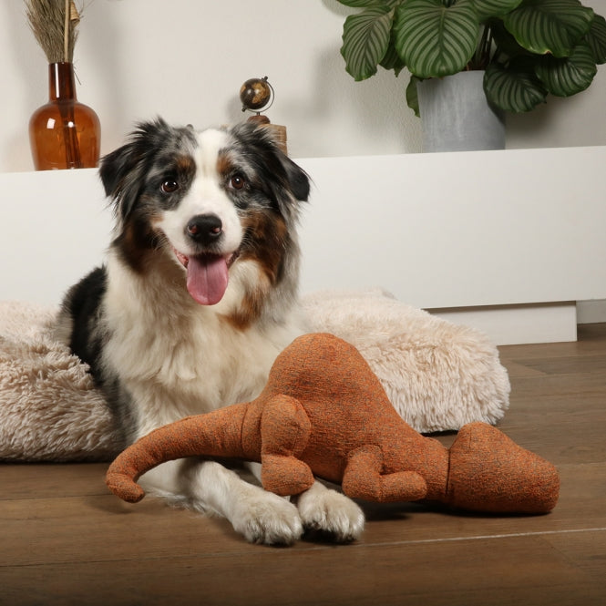 D&D Hundespielzeug Quasi Chenille - D&D Home Bild 4