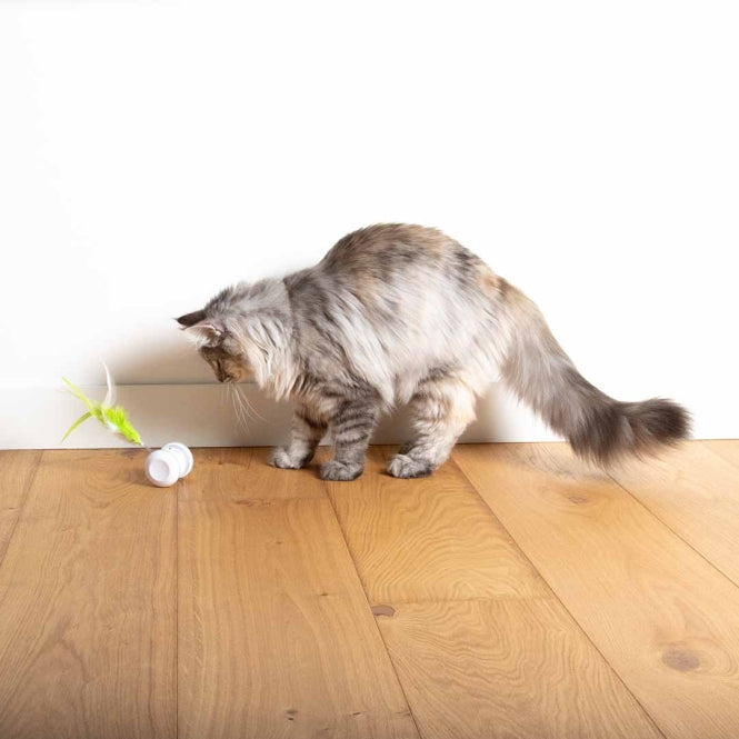 EBI Cat Toy Racing Roller - EBI Bild 6