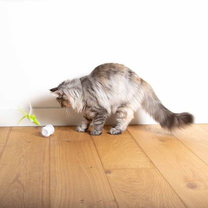 EBI Cat Toy Racing Roller - EBI Bild 6