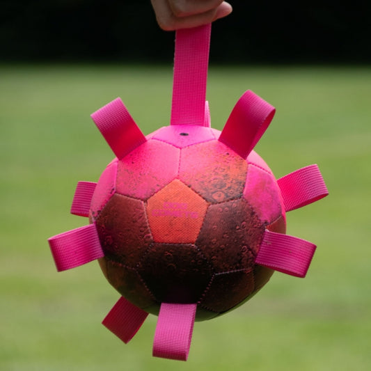 Dog Comets Ball Hypernova -