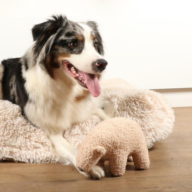 D&D Hundespielzeug Banjo Teddystoff - D&D Home