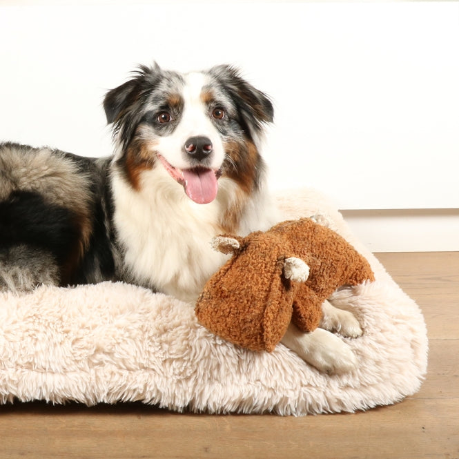 D&D Hundespielzeug Emmy Teddystoff - D&D Home Bild 3
