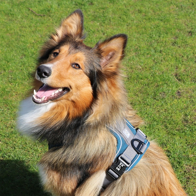Duvoplus EXPLOR Ultimate Fit No-Pull-Geschirr - DUVO