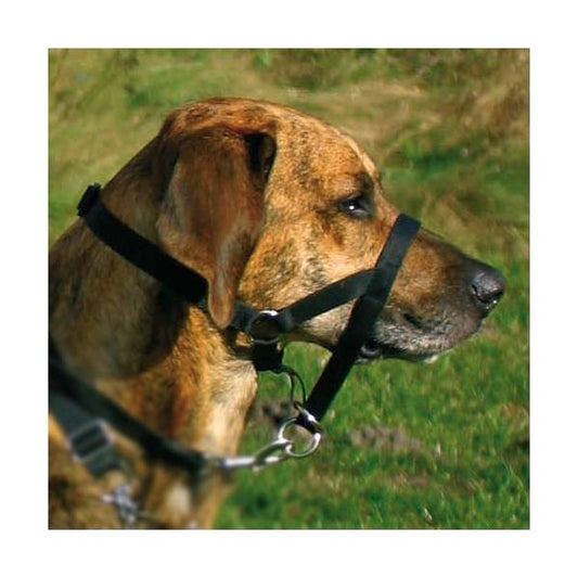 Trixie Top Trainer Ausbildungsgeschirr - max. 37 cm - Trixie