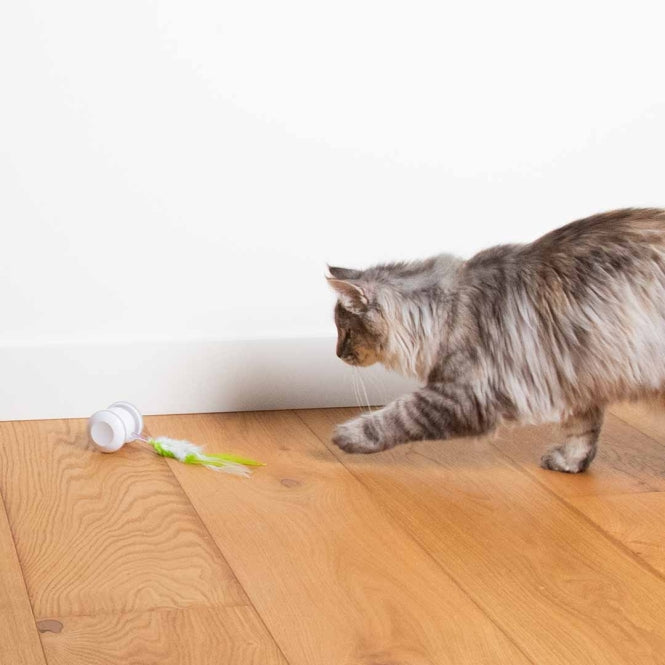 EBI Cat Toy Racing Roller - EBI Bild 5