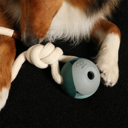 D&D Hundespielzeug Nora - D&D Home Bild 4