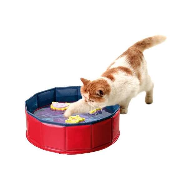 Karlie Kitty Pool - Karlie