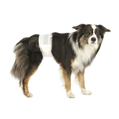 Trixie Hundewindeln für Rüden - Trixie