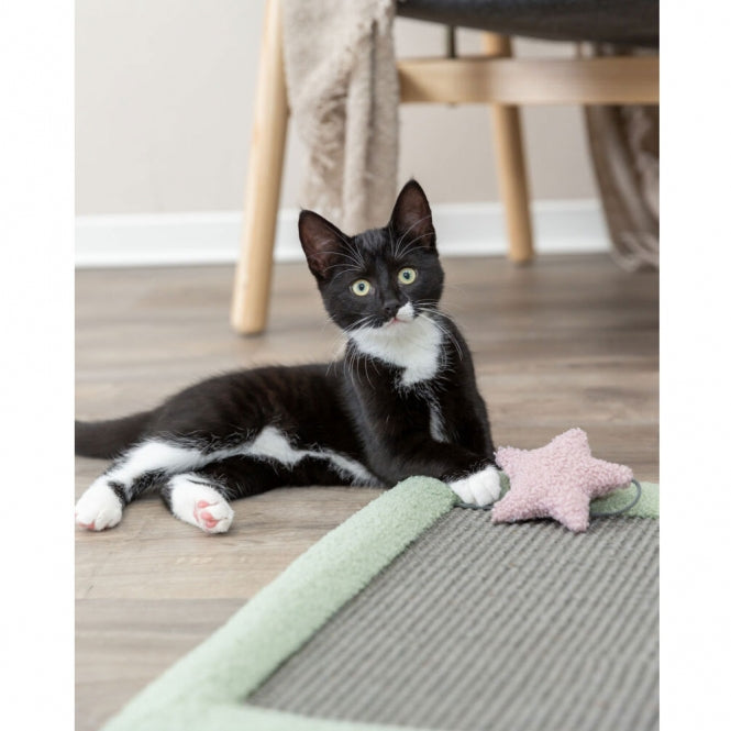 Trixie Junior Kratzmatte - Trixie Bild 6